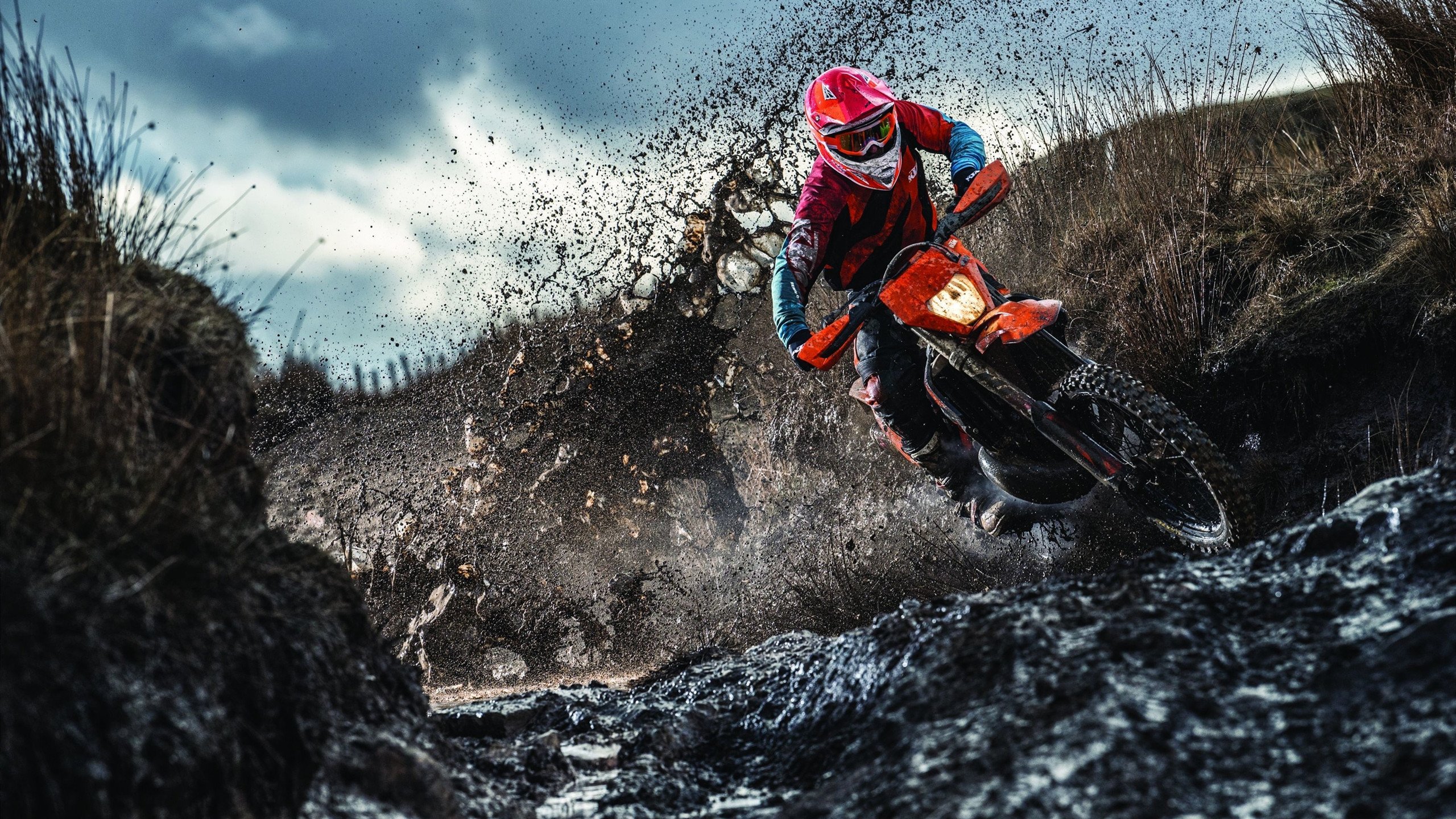 丹·卡特:纵深视野与全局掌控,成就全黑队霸业,丹特什么水平