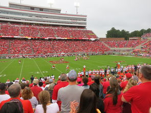 国家队是否推动技战术内容下沉至基层教练，国家队战术后仰